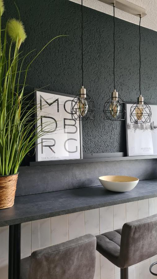 Ferienwohnung, Monteurwohnung, Unterkunft Elise Magdebourg Extérieur photo